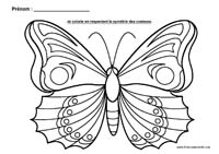 Colorie les ailes du papillon en respectant la symtrie des couleurs