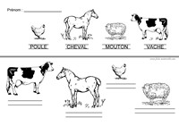 Ecrire le nom des animaux de la ferme
