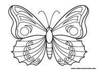 Colorier les ailes du papillon en respectant la symtrie des couleurs