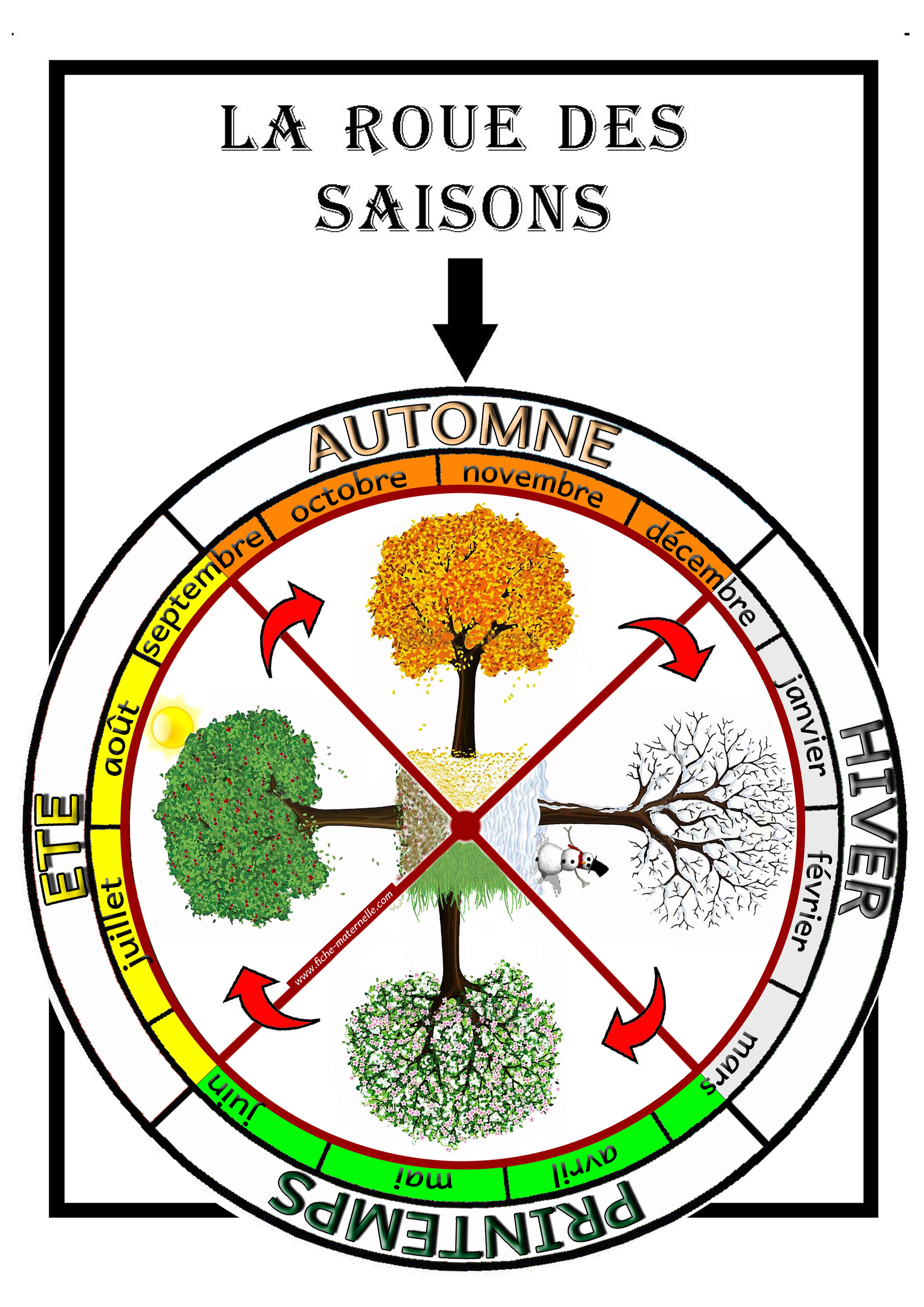 Affichage La Roue Des Saisons Constituer Une Roue Avec Les 4 Saisons Ainsi Que Leur Repartion Selon Les 12 Mois De L Annee
